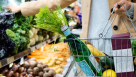 Noor Al Mizan Foodstuff Trading