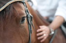 Tack & Track