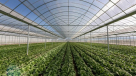 Abr Alfadaa Landscaping