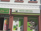 Eco Grass