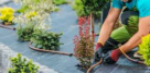Artisan Gardens Landscaping