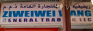 Ziweiwei Wang General Trading