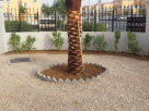 Blue Moon Landscape & Gardening