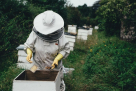 Desert Pest Control Services