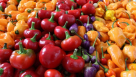 Bahawalpur Fruits & Vegetables Trading