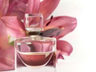 Sikdar Perfumes & Cosmetics