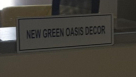 New Green Oasis Decor