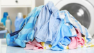 Polar Bear Laundry
