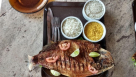 Chicago Fish Cafe