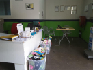 Snoopy Pets Relocation Services