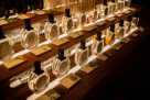 Hgp Perfumes