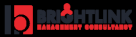 Brightlink Management Consultancies Est