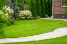 Noor Al Ayaan Landscaping