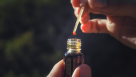 Oud Soul Trading
