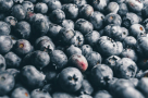 Al Borj Fresh Fruits