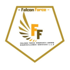 Falcon Force Property Guard & Surveillance Services