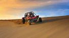 Buggy Tours