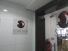 Star B 2 B Consulting Services