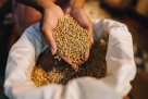 Alsandal Foodstuff Trading