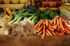 Gulf Processing Trading