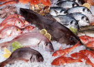 Al Yaroof Fish Stall