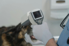 Petology Vet Clinic