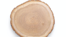 Amazon Wood Carpentry