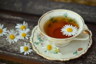 Organic Bandle Tea Trading