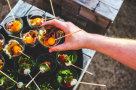 Al Khettar Catering