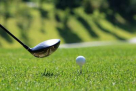 Precision Golf L.l.c