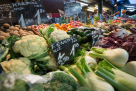 Discovery Foodstuff Trading