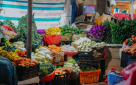 Jenison Foodstuff Trading