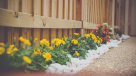 Amalia Landscaping