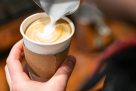 Mocha Beans Cafe