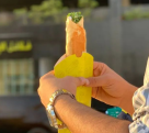 Falafel Alaseel Cafeteria