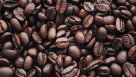 Ducaf Coffee Shop