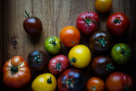 West Food Trade