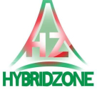Hybrid Zone Computer Trading