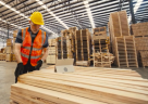 Bravo Timber Trading L.l.c