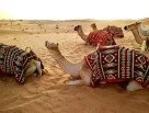 Muhammad Abu Bakar Tourism