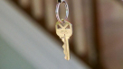 TJ Real Estate Broker