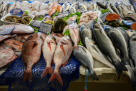 Blue Wave Sea Food