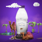 Royal Camel Dairy Foodstuff Trading