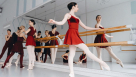 Rose Ballet