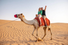 Sree Tours And Travels