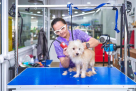 Doog Mobile Pet Grooming Co.