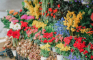 Glamour Rose Flowers Trading (branch)