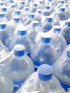 Oasis Pure Water