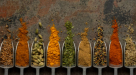 Azhar Haidery Herbs Trading