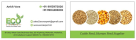 Nine Square General Trading LLC